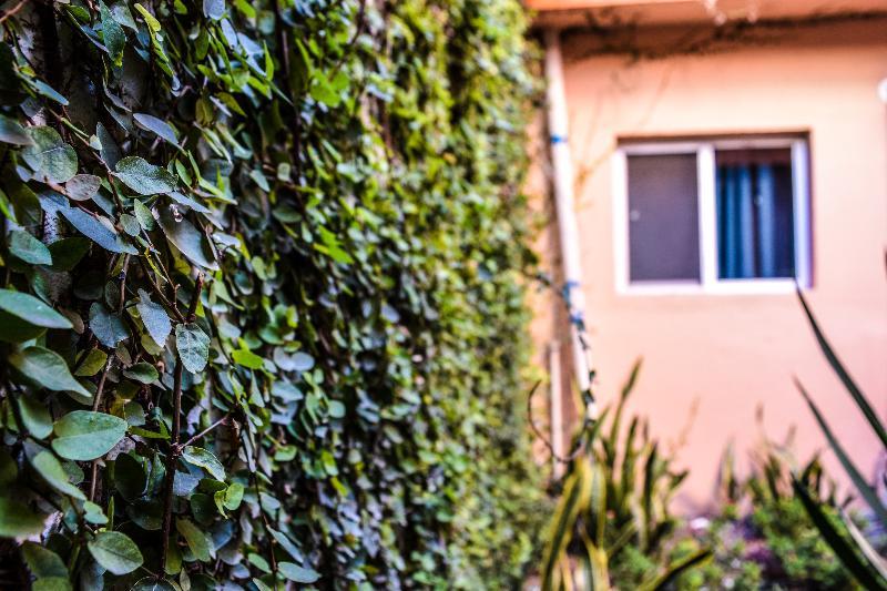 Econosuites Monterrey Buitenkant foto